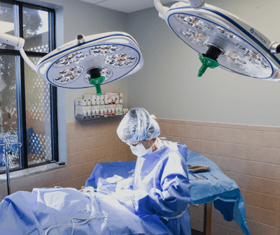 Surgeon preforming surgery under two Skytron Stellar XL LED lights at the vet hospital