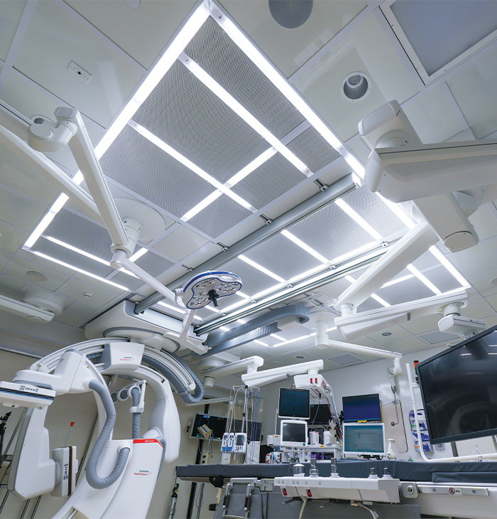700x730 Ceiling2